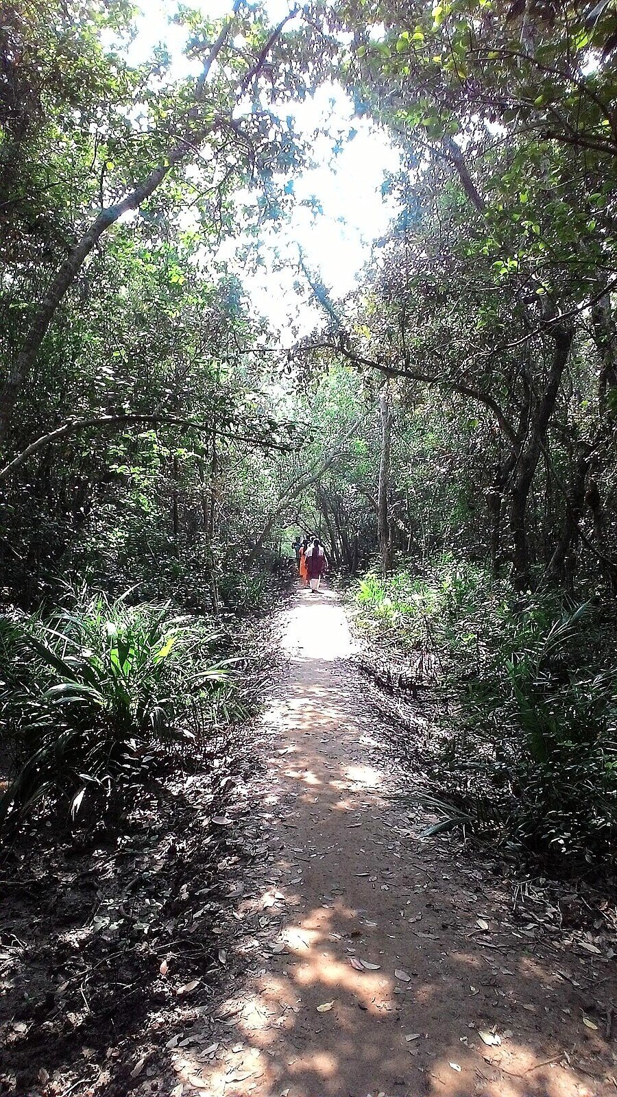 Bhitarkanika wildlife sanctuary