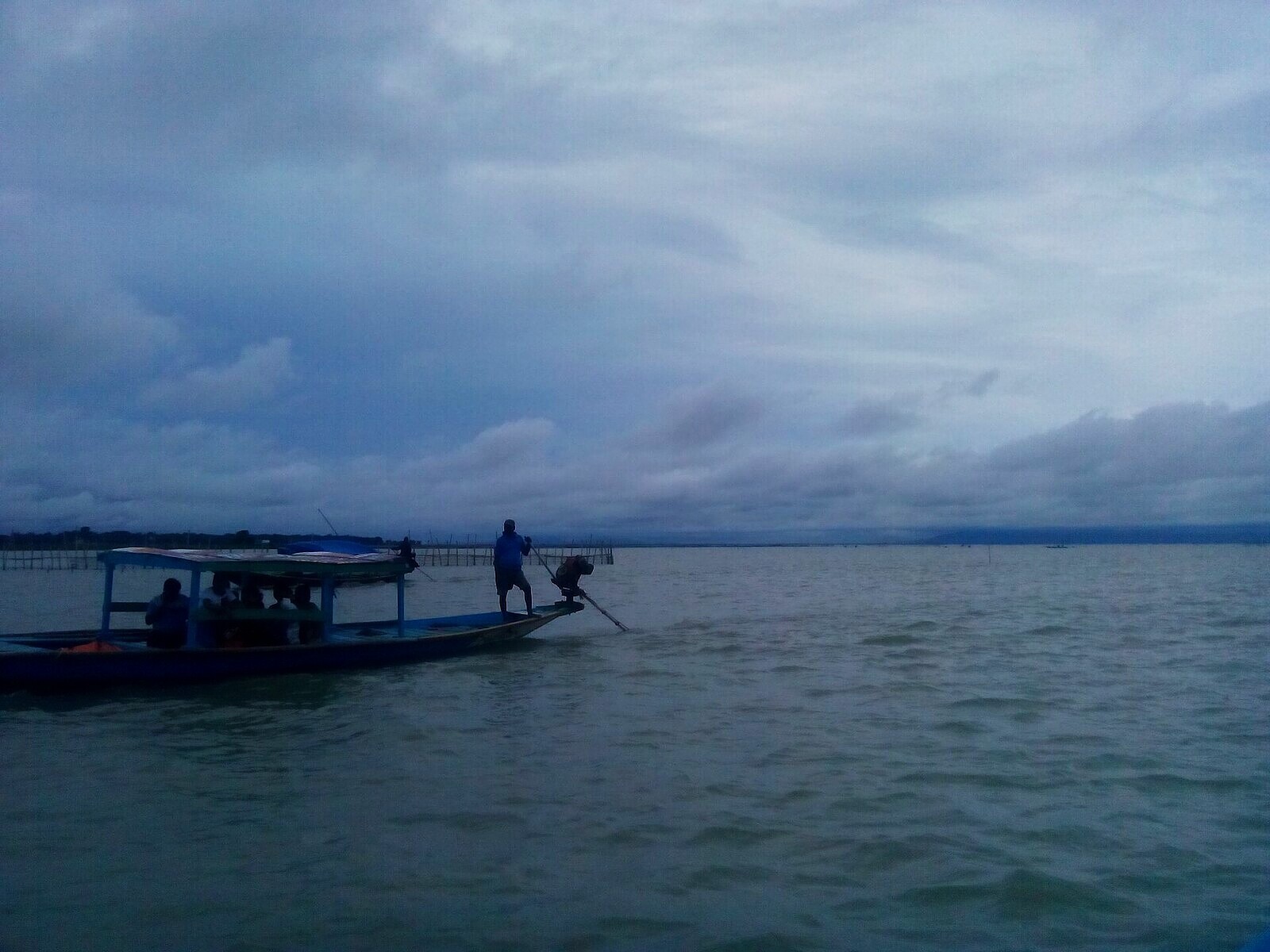 Chilika Lake dolphin